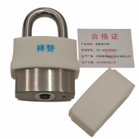 祥赞电子锁XZ-ZNDZS300