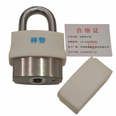 祥赞电子锁XZ-ZNDZS300