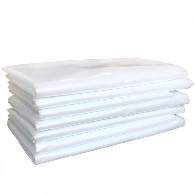 鑫睿辉 大棚塑料布 12丝2*10m 米