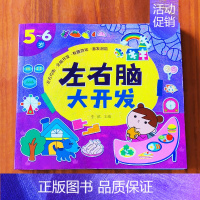 左右脑大开发5-6岁 单册 [正版]儿童全脑开发逻辑思维训练书籍幼儿2到3-6-7岁左右脑开发教具幼儿园宝宝数学游戏工具