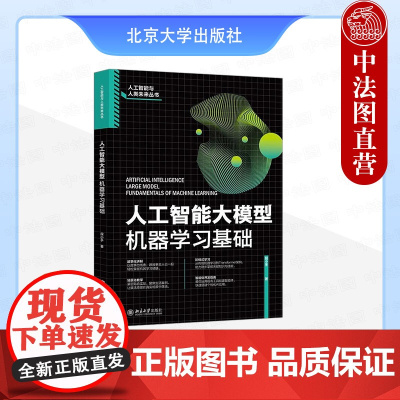 正版 人工智能大模型:机器学习基础 段小手 北京大学出版社 Transformer架构 ai大模型核心技术技能教程书籍