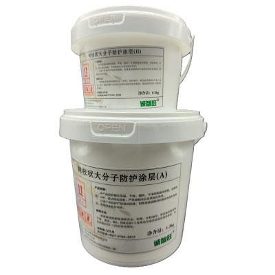 树枝状大分子防护涂层 1.5kg 组