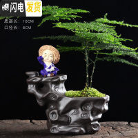 三维工匠多肉花盆创意个性陶瓷紫砂透气微景观盆古典桌面小号花器文竹盆 E2-1黑步步高升+不看小草帽(含文竹苔藓土花盆容器