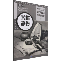 音像美术专业基础教材 素描静物不详