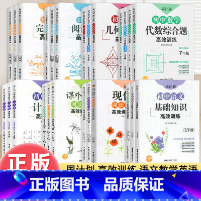 [全3册]数学计算题+几何+代数 八年级/初中二年级 [正版]周计划初中语文数学英语七八九年级中考专项训练初一二三基础知