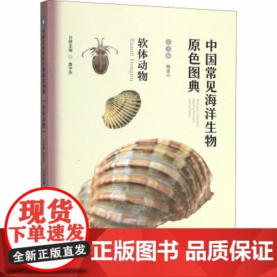 中国常见海洋生物原色图典 软体动物 中国海洋大学出版社 魏建功,曲学存 编