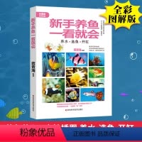 [正版]新手养鱼一看就会手册观赏鱼疾病家庭水族箱观赏鱼饲养与鉴赏完全图鉴阳台养鱼技巧观赏鱼饲料养鱼常识知识书籍