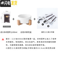 三维工匠ins多肉植物花盆陶瓷北欧简约木架创意无孔绿萝铜钱水培花盆小 白色花盆+多肉土+园艺工具13元 中花盆容器