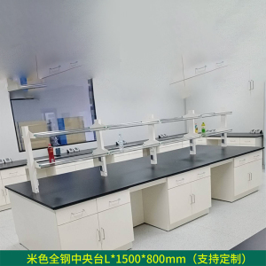 帅畅全钢实验台钢木PP边台柜试验台化验室工作台实验室桌操作台定制(每米单价)[工厂现做 7天内发货]