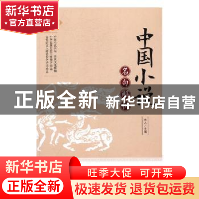 正版 中国小说名句解析 天人主编 内蒙古人民出版社 978720414036