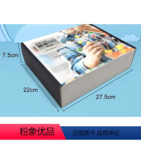 给孩子的数学实验室 [正版]给孩子的数学实验室(书+定制材料盒)适合6-12岁的孩子进行数学探索 包含纸张图案、七巧板、
