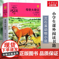 母豺火烧云 升级版 沈石溪动物小说正版品藏书系 小学生三年级四年级课外书7-8-9-10岁寒暑假课外书阅读浙江少年儿童出