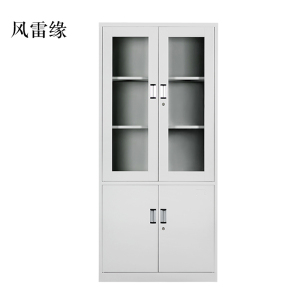 风雷缘钢制资料柜档案柜财务凭证柜带锁储物柜铁皮柜书柜大器械文件柜