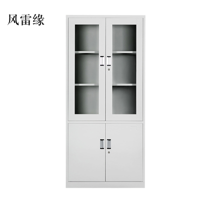 风雷缘钢制资料柜档案柜财务凭证柜带锁储物柜铁皮柜书柜大器械文件柜