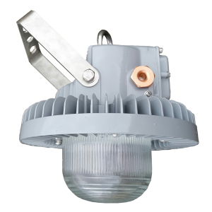 立华王LH6100-ALED泛光工作灯