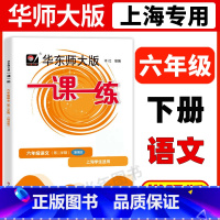 6年级下 语文(增强版) 六年级 [正版]华东师大版一课一练六年级上下册语文数学英语普通版增强版6年级上海沪教版初中教辅