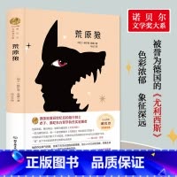 荒原狼 [正版]荒原狼赫尔曼黑塞原著完整无删减 1946年诺贝尔文学奖书系 北京理工大学出版社 德国浪漫派独行骑士世界文