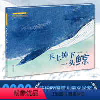 天上掉下一头鲸 [正版]天上掉下一头鲸 传统的稳定青花瓷图画书 中国非物质文化遗产 唯美动人故事蕴含着生命与爱的思考 青