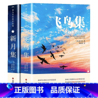 全2册 飞鸟集+新月集 [正版]中英双语飞鸟集+新月集对照注释版未删减飞鸟集和新月集中英双语版全新经典名著初高中生阅读语