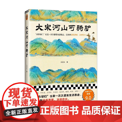 大宋河山可骑驴 王这么 著 传记