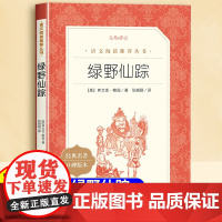 绿野仙踪三年级下册课外书人民文学出版社二年级四年级打动孩子心灵的世界经典外国儿童文学获奖作品阅读故事书经典名著原版完整版
