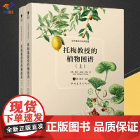 托梅教授的植物图谱上下册世界博物学经典图谱奥托威廉托梅著铃兰图书译正版科普读物生物世界植物整体图植物剖面图中国青年社