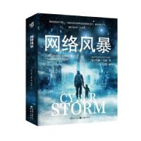 正版新书]网络风暴[加拿大]马修·马瑟著,邵杜罔 译9787229158903