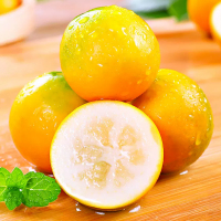 [熊猫鸟]广西小金桔 3斤 特大果 约28个/斤 新鲜水果脆甜滑皮冰糖金桔应当季水果