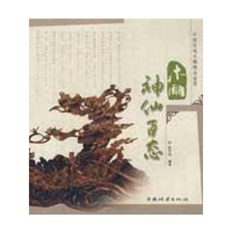音像木雕神仙百态徐华铛