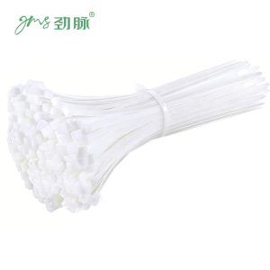 劲脉 尼龙扎带 5*100*4.8mm宽(250条) 包