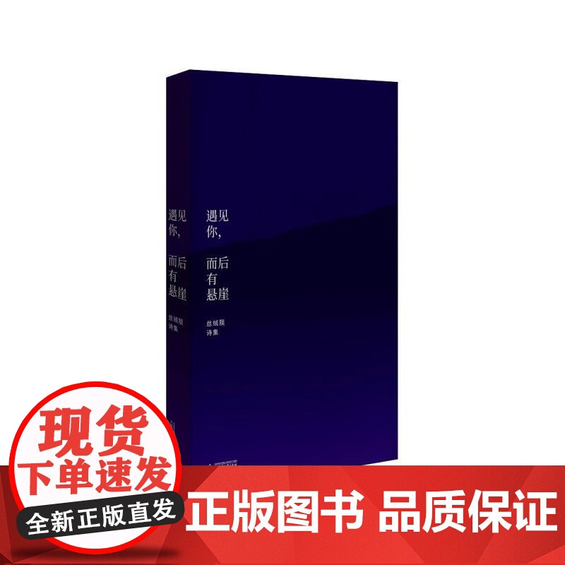 遇见你而后有悬崖 丝绒陨诗集 词语景观 爱的险境 一位当代精神漫游者的肖像 我们机械日常的升华与变奏中国现当代诗歌正版书
