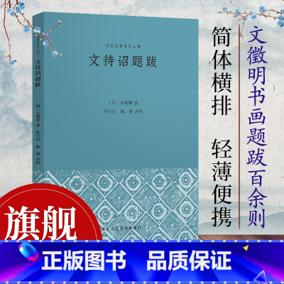 [正版]文待诏题跋 展示文徵明书画理念 看文徵明如何点评苏东坡黄庭坚赵孟頫等书画家作品中国古典艺术理论历代经典书论丛刊