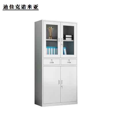 迪佳克诺米亚 办公柜 中二抽办公柜 A7-BGG 个