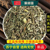 柴胡苗100克干货新货正品官方店柴草硬苗小柴胡苗泡水泡茶正品北柴胡苗