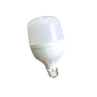闻信LED9w LED灯泡 单个装