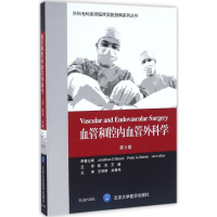 音像血管和腔内血管外科学