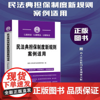 正版 民法典担保制度新规则案例适用 中国法制出版社 9787521626827
