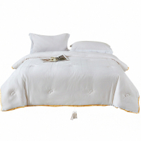 绵族世家(mianzushijia) MZSJ-X3194 200×230cm 双A全棉提花豆绒被 (单位:床) 白色