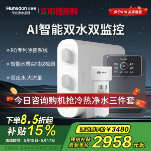 汉斯顿/Hunsdon净水器家用厨下式净水机家用直饮净水器C2净水器家用无桶双水大流量过滤器净水器