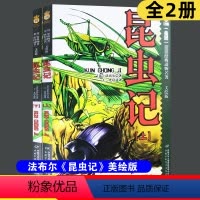 [正版]全2册 昆虫记美绘版 四年级 书上下册合集小学版法布尔全集彩绘版昆虫记中国少年儿童出版社原版小学生课外阅读书籍