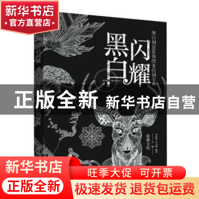 正版 黑白闪耀:黑白创意装饰图案绘制宝典 贾慧萍,李司媛,爱林文