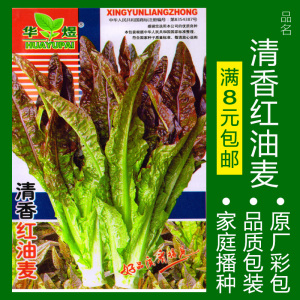 蔬菜种子四季播盆栽番茄黄瓜辣椒西瓜籽孑大全罗卜蕃茄苏州青黄心