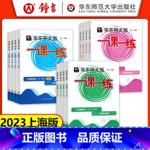 数学 普通版 八年级上 [正版]2023华东师大版一课一练六年级上七年级上册八九年级物理 语文数学英语化学普通版增强版加