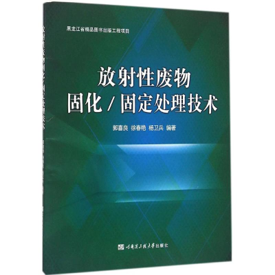 醉染图书放废物固化/固定处理技术9787566114