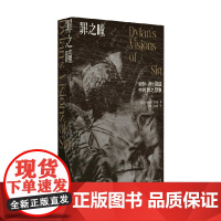 罪之瞳 鲍勃 迪伦歌曲中的罪之想象 克里斯托弗·里克斯 著 文学