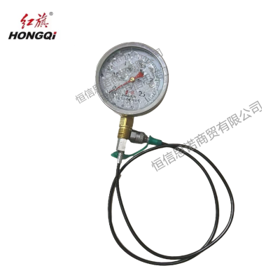 红旗 耐震压力表YTN100 压力值需备注(含1米测试软管) 块