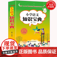 小学语文知识宝典大全 全国通用版 小学知识全囊括知识清单快检索升学夺冠知识点 训练点 考点大集结 一二三四五六年级语文阶