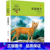 双面猎犬 [正版]沈石溪动物小说品藏书系列全集36册 斑羚飞渡第七条猎狗后一头战象雪豹悲歌珍藏版全套画本生肖