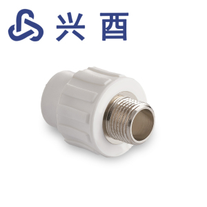 兴酉 PP-R外丝直接 20*3/4 个