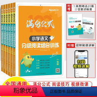 [6册]1-6年级.满分公式分级阅读训练 小学通用 [正版]星火满分公式小学语文分级阅读组合一二三四五六年级理解专项训练